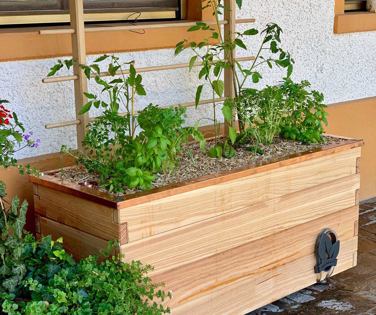 Hochbeetplus an Hausfassade