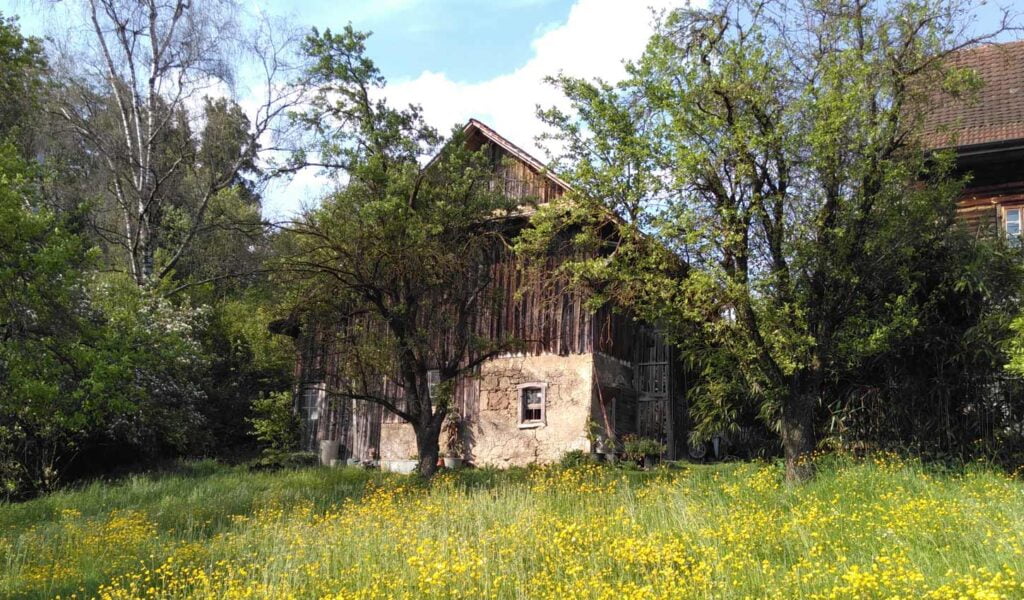 Schafstall vor Umbau im Sommer mit blühender Wiese